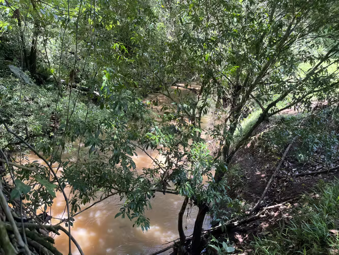 Finca Ganadera lista para producir
