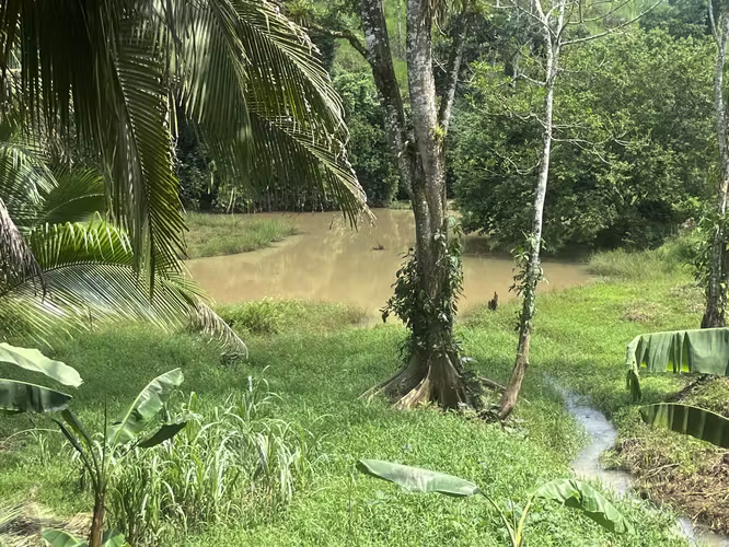 Finca Ganadera lista para producir