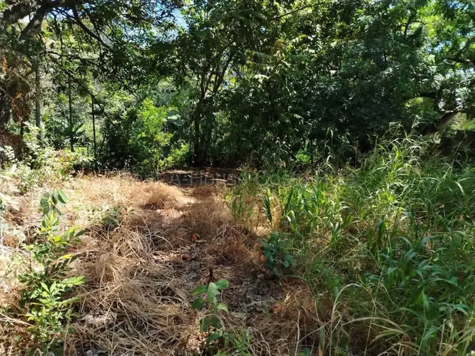 Venta de Lote en Piedades de Santa Ana INVERSIÓN RZ - Imagen 8