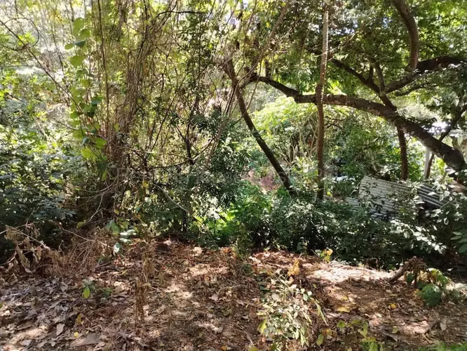 Venta de Lote en Piedades de Santa Ana INVERSIÓN RZ - Imagen 10