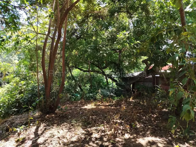 Venta de Lote en Piedades de Santa Ana INVERSIÓN RZ - Imagen 11