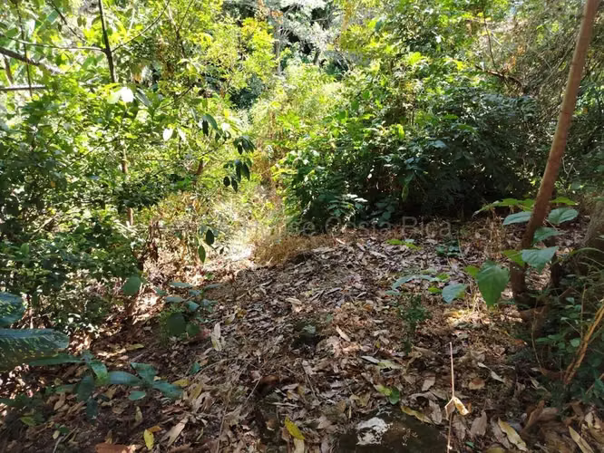 Venta de Lote en Piedades de Santa Ana INVERSIÓN RZ - Imagen 9