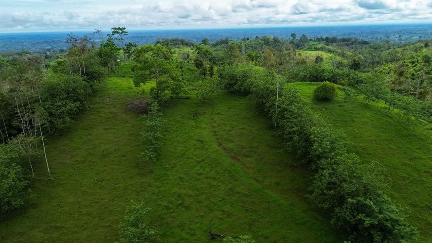 Tu Paraíso Privado: Finca con Gran Potencial en San Carlos - Imagen 8