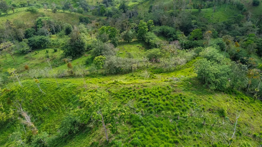 Tu Paraíso Privado: Finca con Gran Potencial en San Carlos - Imagen 4
