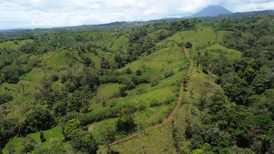 Your Private Paradise: Finca with Great Potential in San Carlos