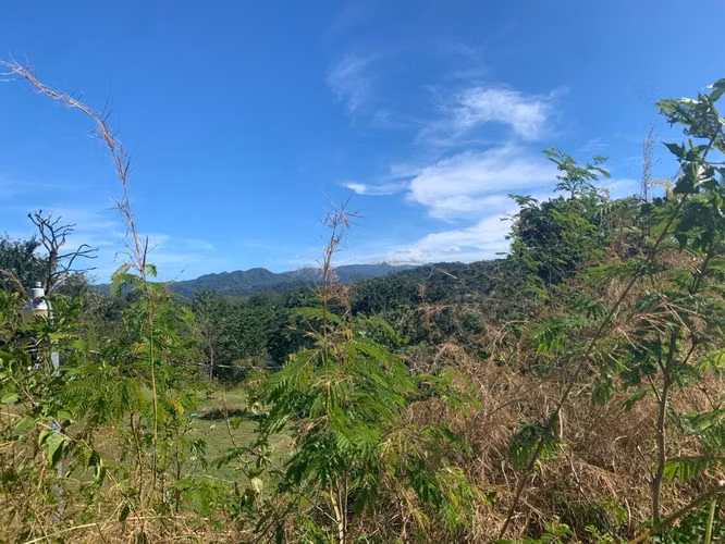 Lote en San Juanillo: 5,847 m² Cerca de la Playa y el Refugio de Tortugas Ostional - Imagen 4