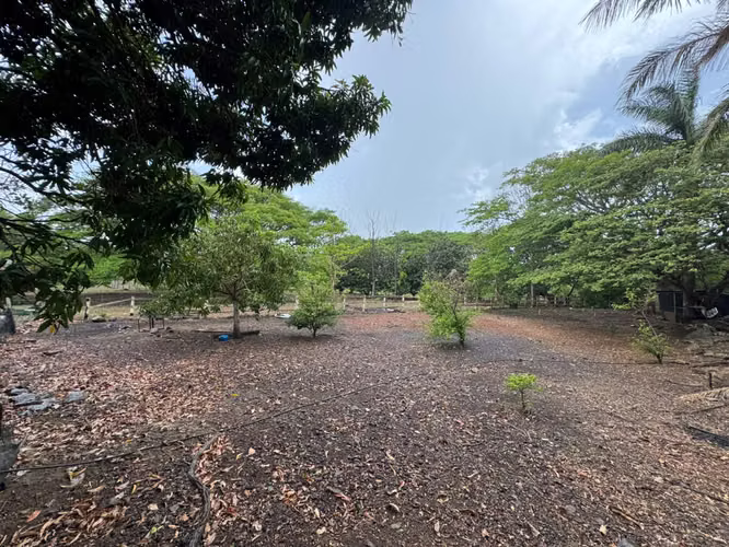 Finca 7 ha con casas y establos en Cañas Guanacaste