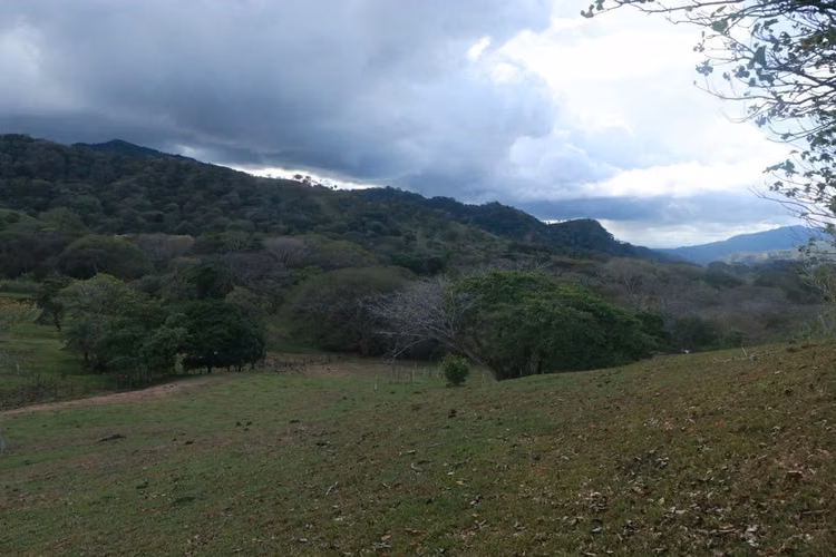 Venta de lote San Isidro de Potrerillos, Mora - Imagen 4