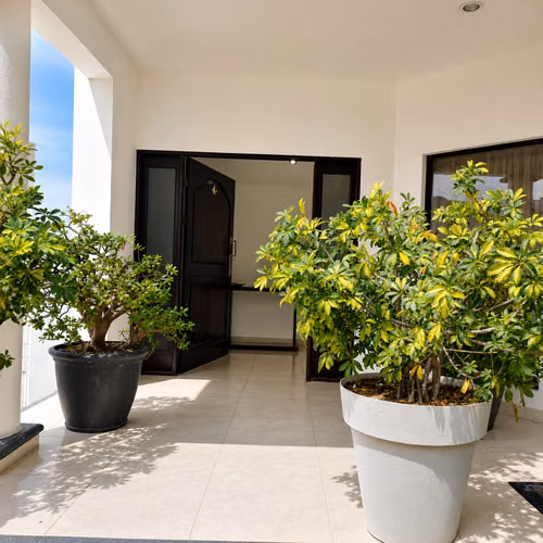 Casa con habitación en primer nivel en Guayabos, Curridabat