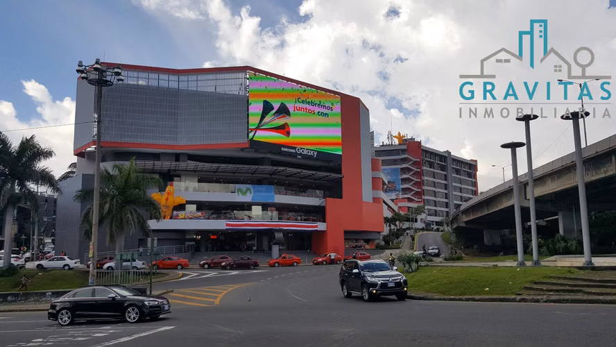 Retail spaces at Mall San Pedro ID 692