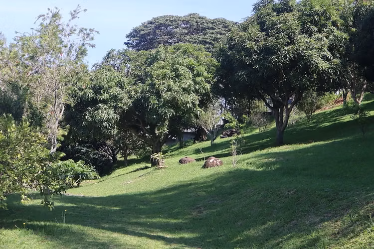 Venta de espectacular lote en Colinas de Montealegre - Imagen 8