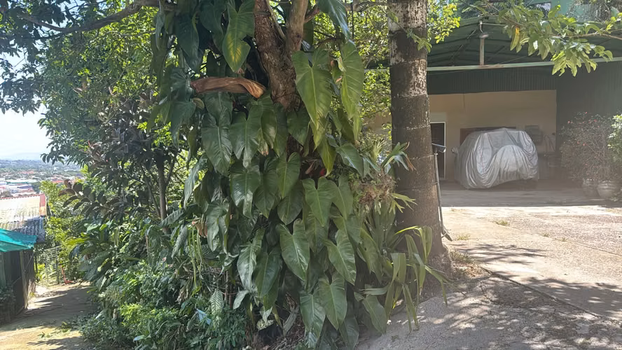 Propiedad en el Alto de las Palomas, Santa Ana, San José - Imagen 16