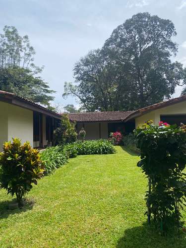 ESCAZÚ | SE ALQUILA / SE VENDE  Hermosa Casa de Una Planta Hermosos Jardines /Majestuosos Árboles - Imagen 13