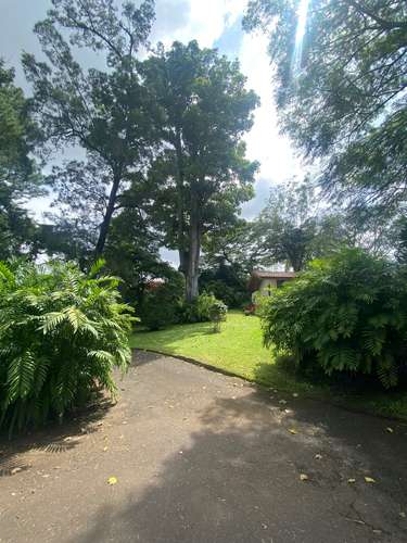 ESCAZÚ | SE ALQUILA / SE VENDE  Hermosa Casa de Una Planta Hermosos Jardines /Majestuosos Árboles - Imagen 15