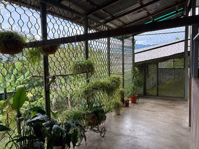 ¡PROPIEDAD PARA PUNTO COMERCIAL EN VENTA, SAN RAMÓN CENTRO, ALAJUELA!