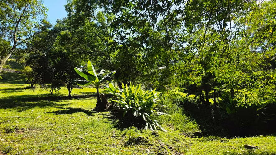 Quinta en la Naturaleza | 4.000 m² en El Mastate, Orotina
