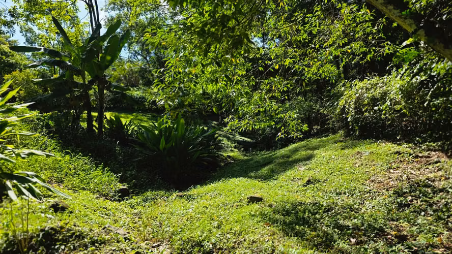 Quinta en la Naturaleza | 4.000 m² en El Mastate, Orotina