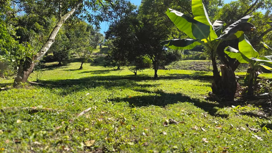 Quinta en la Naturaleza | 4.000 m² en El Mastate, Orotina