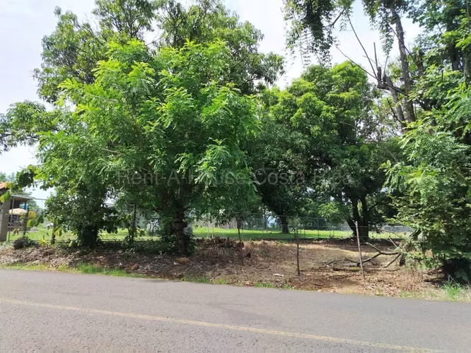 Lot for Sale in San Mateo-Labrador.