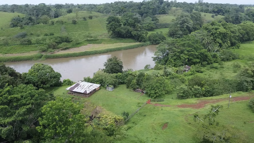 Unique Opportunity: Regenerative Livestock Finca - 250 Hectareas in CoopeVega de Cutris, San Carlos