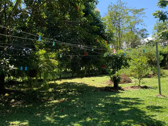 CASA CAMPESTRE PARA VENTA, EN GUAPILES. 33-222