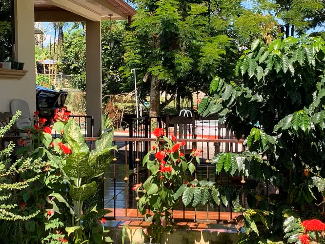 CASA CAMPESTRE PARA VENTA, EN GUAPILES. 33-222
