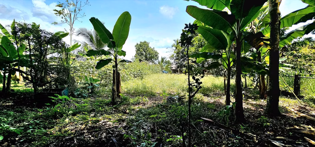 Venta de lote en Guapiles LA RITA con EDIFICACIONES LISTAS