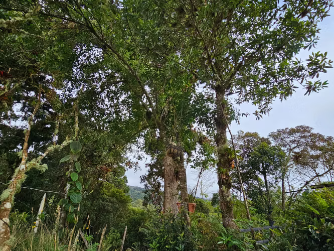 Venta de lote en Cañón del Guarco. Terreno plano