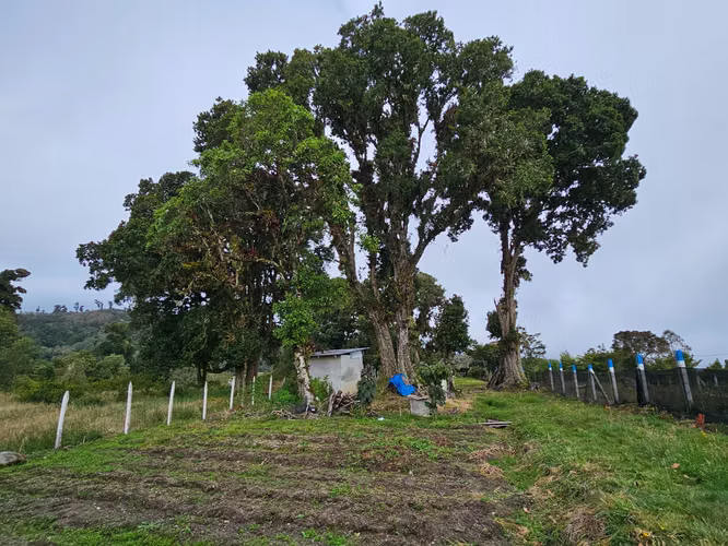 Venta de lote en Cañón del Guarco. Terreno plano