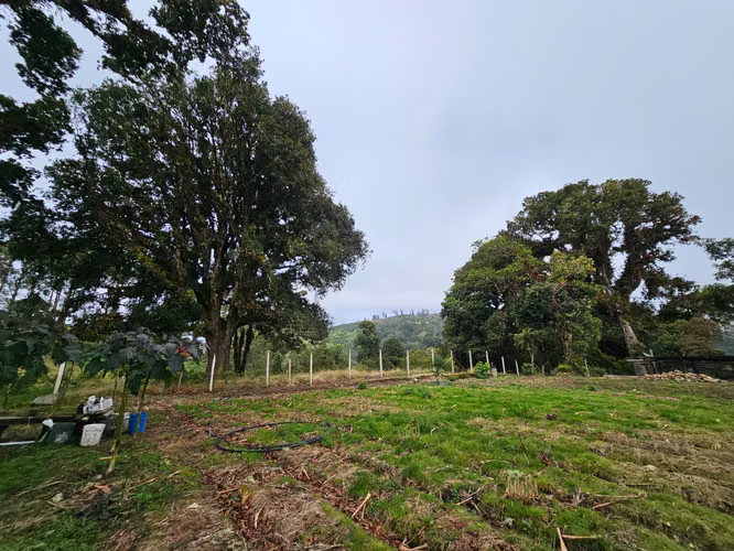 Venta de lote en Cañón del Guarco. Terreno plano