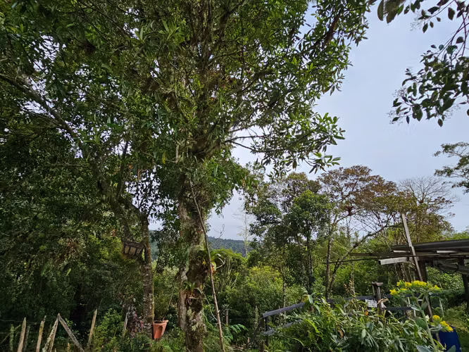 Venta de lote en Cañón del Guarco. Terreno plano