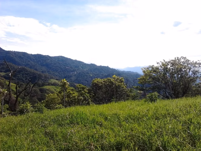 LAND FOR SALE IN CARRIZAL. 36-286-76