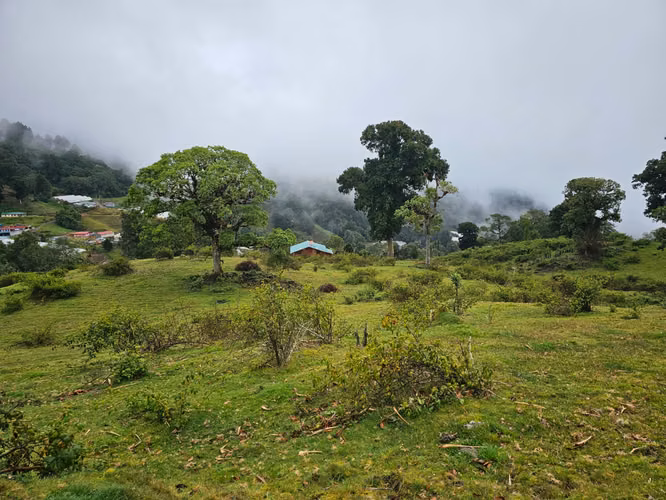 Venta de terreno en Cañón del Guarco | 52.000 m² | Desde 5.000 m²