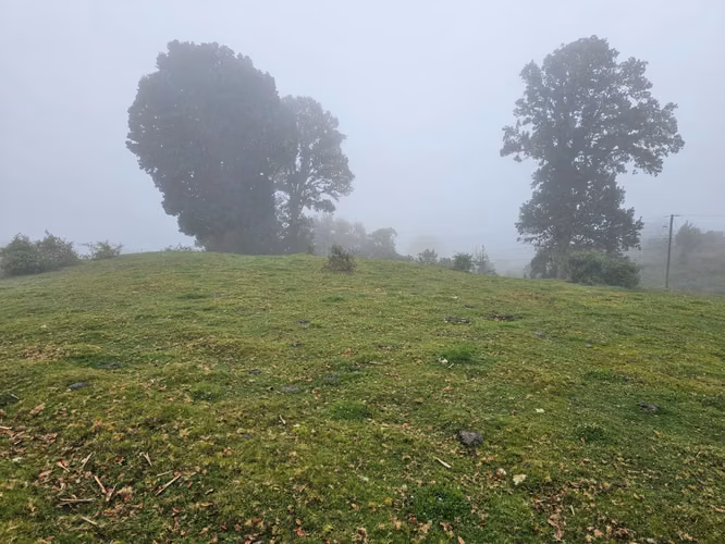 Venta de terreno en Cañón del Guarco | 52.000 m² | Desde 5.000 m²
