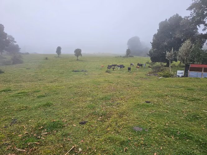 Venta de terreno en Cañón del Guarco | 52.000 m² | Desde 5.000 m²