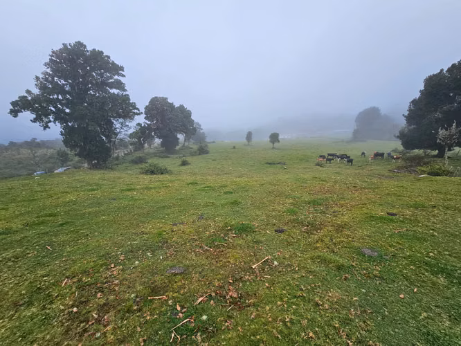 Venta de terreno en Cañón del Guarco | 52.000 m² | Desde 5.000 m²