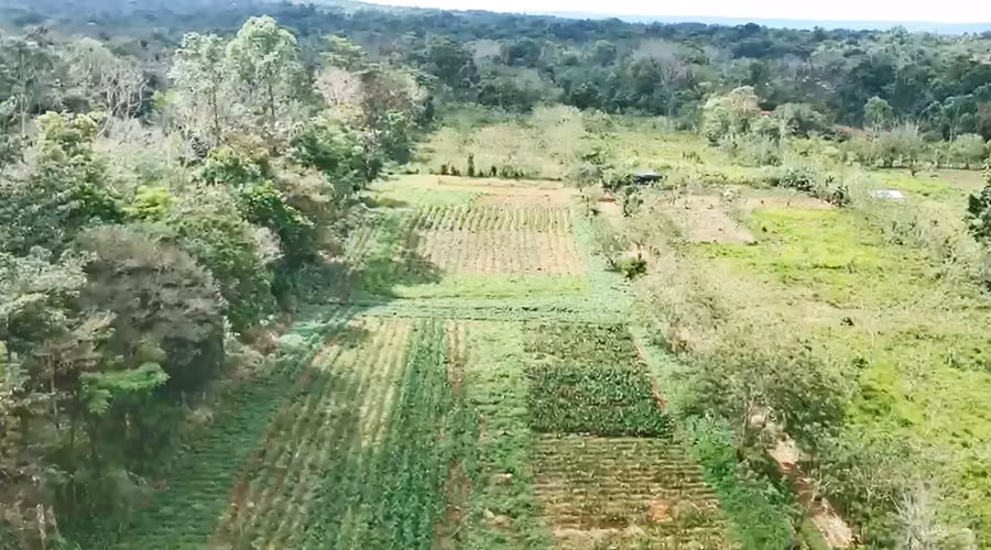 Propiedad con Potencial Turístico y Río Cerca de La Fortuna