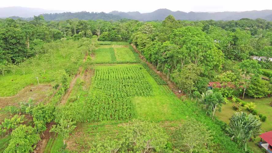 Propiedad con Potencial Turístico y Río Cerca de La Fortuna