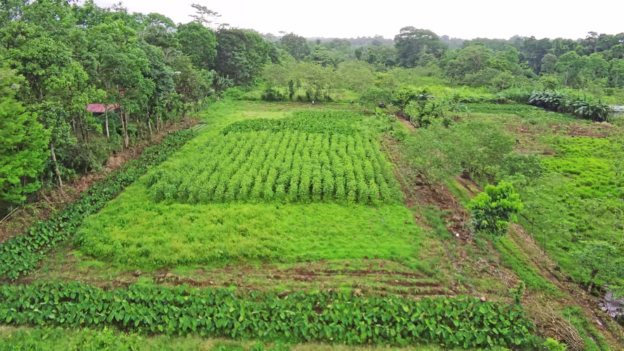 Propiedad con Potencial Turístico y Río Cerca de La Fortuna