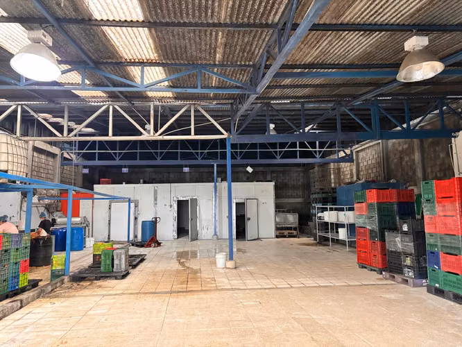 SE VENDE  o SE ALQUILA BODEGA CARTAGO