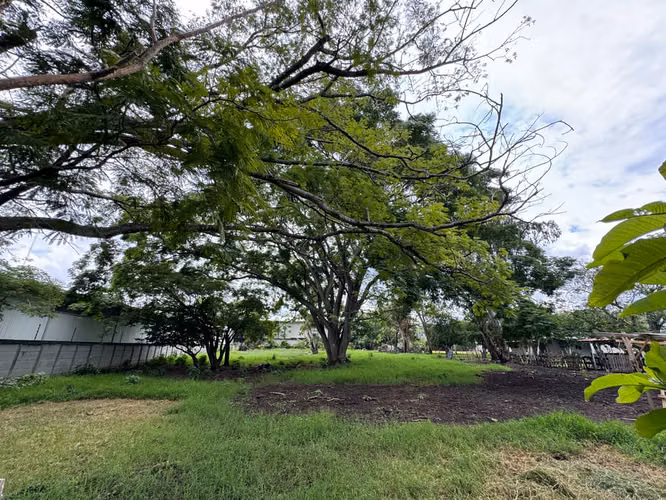 VENDO LOTE PLANO EN POZOS DE SANTA ANA. USO COMERCIAL Y RESIDENCIAL - Imagen 4