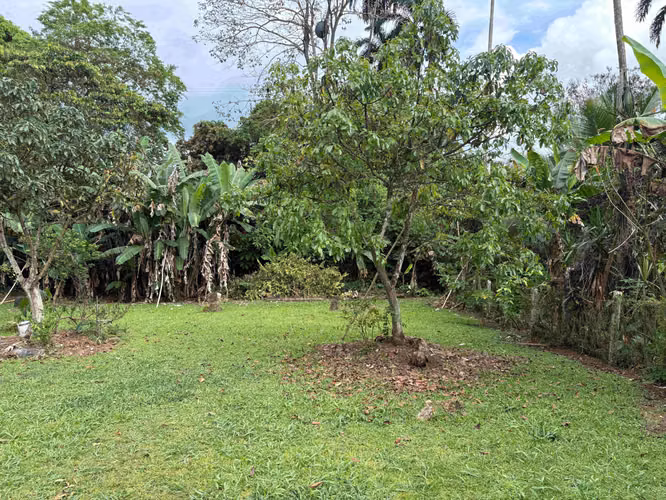 Se vende propiedad con casa pequeña Barrio Los Ángeles Pérez Zeledón - Imagen 3