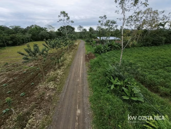 Terreno de 7.168 m²  | Bonanza, San Carlos | Oportunidad - Imagen 3