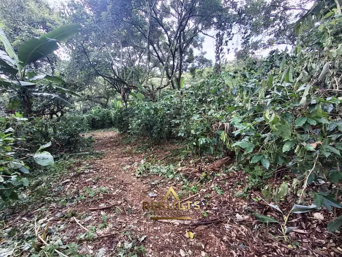 2.6 ha para Desarrollo USO Residencial o Apts - Imagen 11