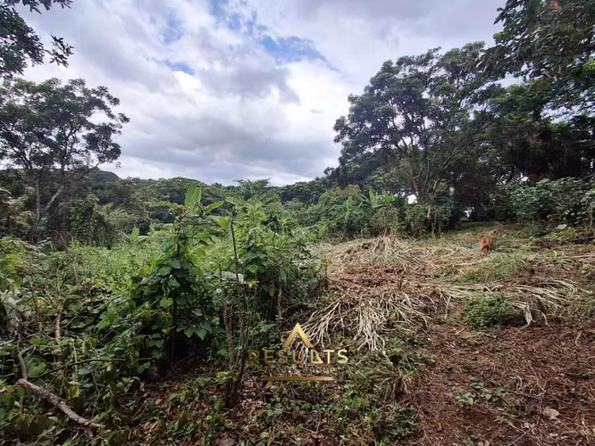 2.6 ha para Desarrollo USO Residencial o Apts - Imagen 4