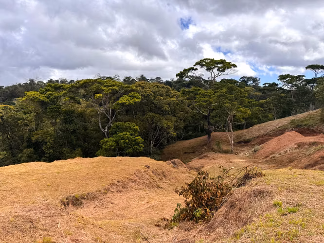 Terreno Exclusivo con Vista al Volcán Arenal | 1.17 Ha en Ciudad Quesada