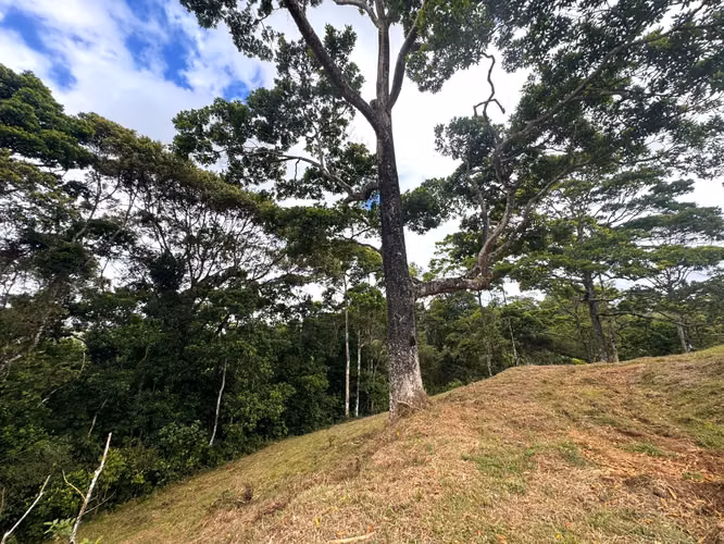 Terreno Exclusivo con Vista al Volcán Arenal | 1.17 Ha en Ciudad Quesada