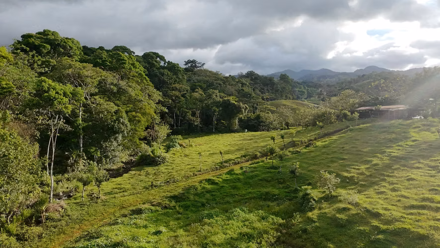  ¡Oportunidad de Inversión Única! Finca de 7.5 Hectáreas con Alto Potencial de Desarrollo 