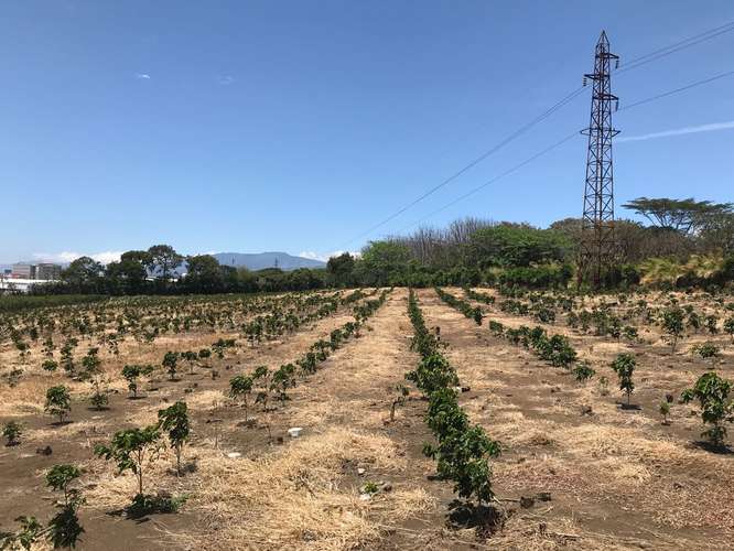 Terreno para Desarrollo Inmobiliario en Venta | 6 Hectáreas | San Pablo de Heredia