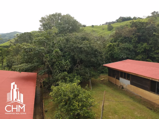 VENTA DE ESPECTACULAR FINCA-ALAJUELA-SAN RAMÓN-PIEDADES SUR